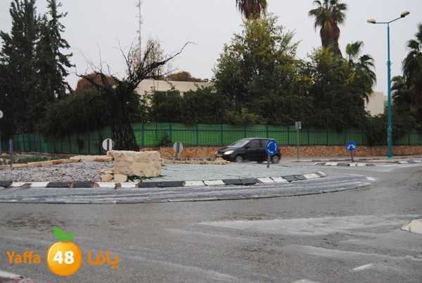 ice ramla 1213 (2).JPG